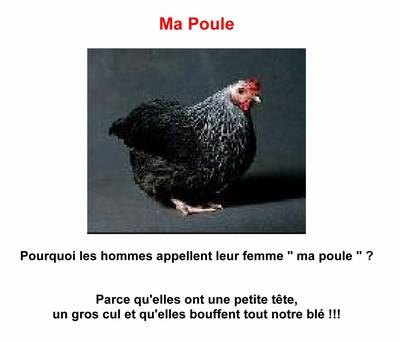 Ma poule